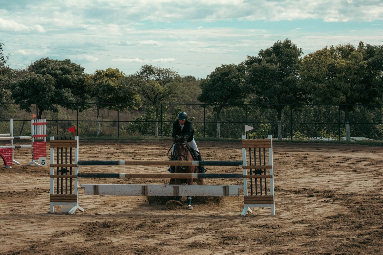 Top Dressage Competitions to Watch Across Texas This Season