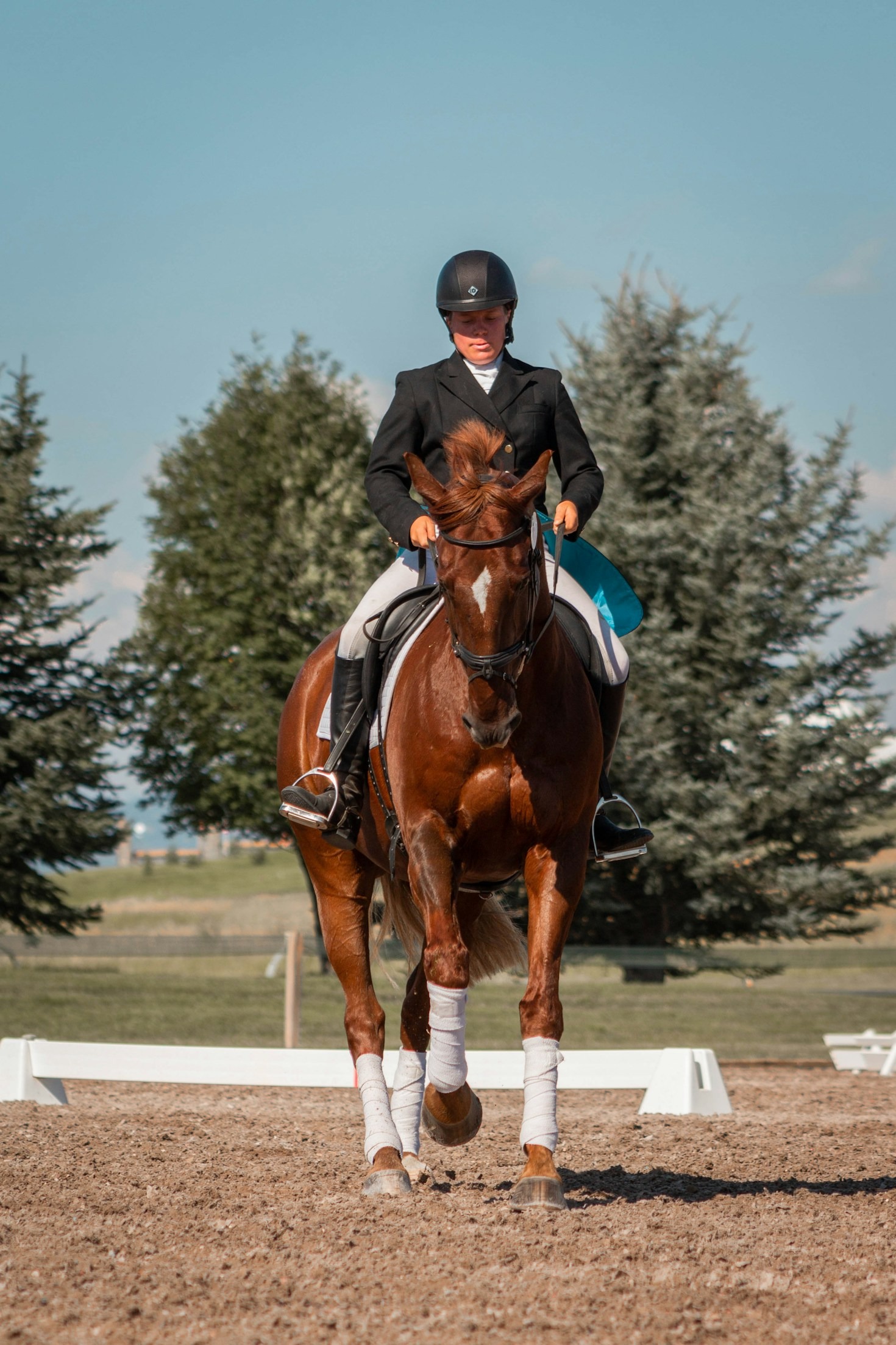 Behind the Reins: Preparing for Texas Three-Day Eventing