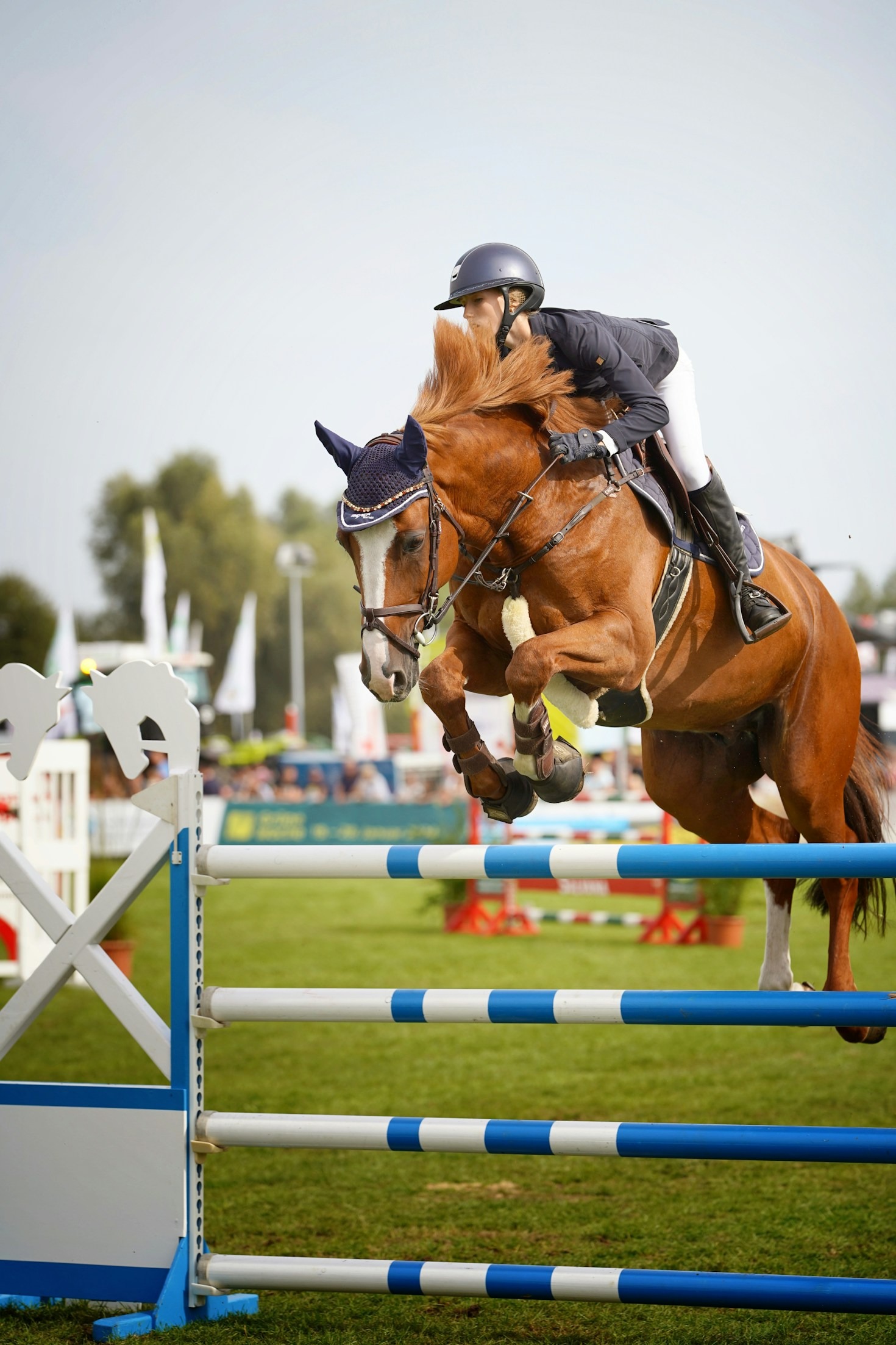 A Rider’s Guide to Premier Equine Facilities Statewide
